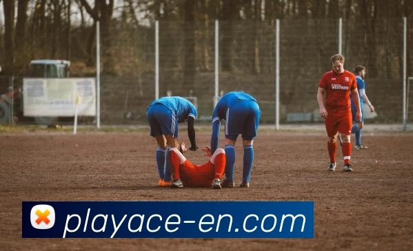 PA真人官网APP 封面图